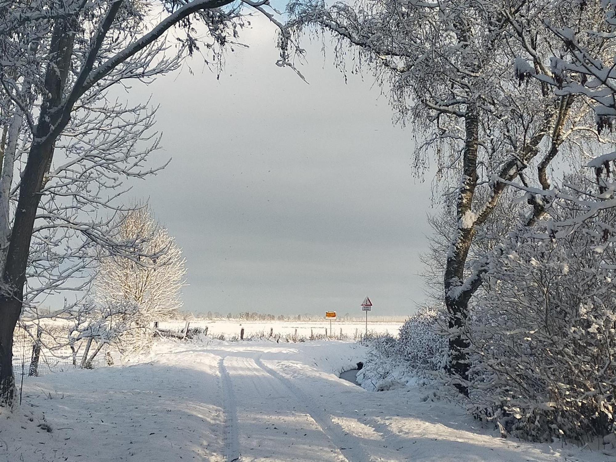 Ferienhaus Dorfidyll Bugewitz Esterno foto